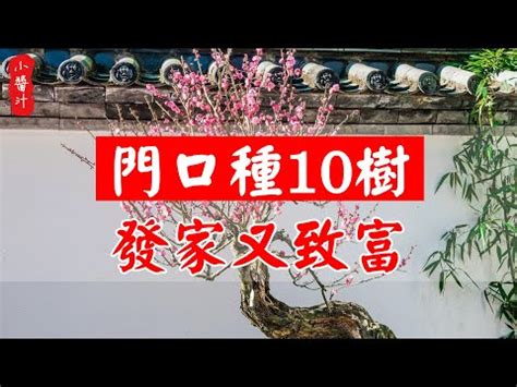 茉莉花招財|【門口種茉莉花好嗎】門口種茉莉花，好運旺桃花？破解風水迷思。